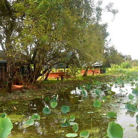 Meegahapokuna Resort أنرادابورام المظهر الخارجي الصورة
