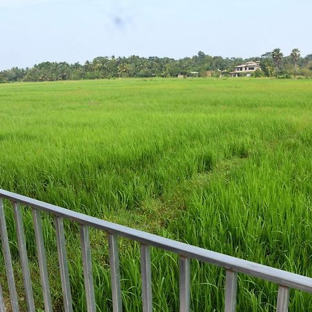 Meegahapokuna Resort أنرادابورام المظهر الخارجي الصورة