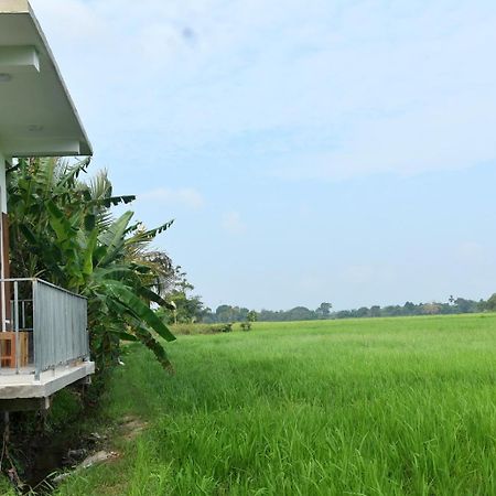 Meegahapokuna Resort أنرادابورام المظهر الخارجي الصورة
