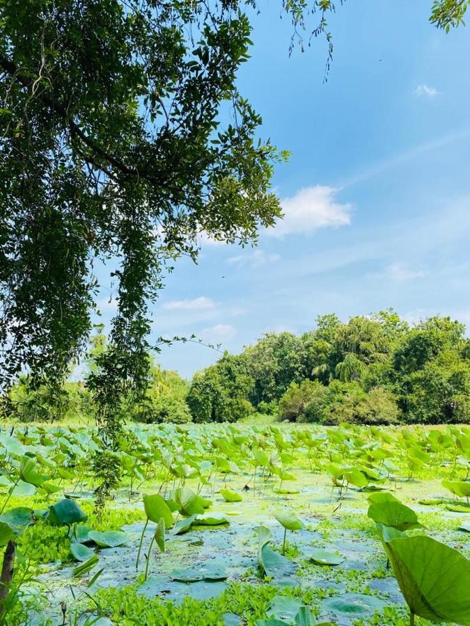 Meegahapokuna Resort أنرادابورام المظهر الخارجي الصورة