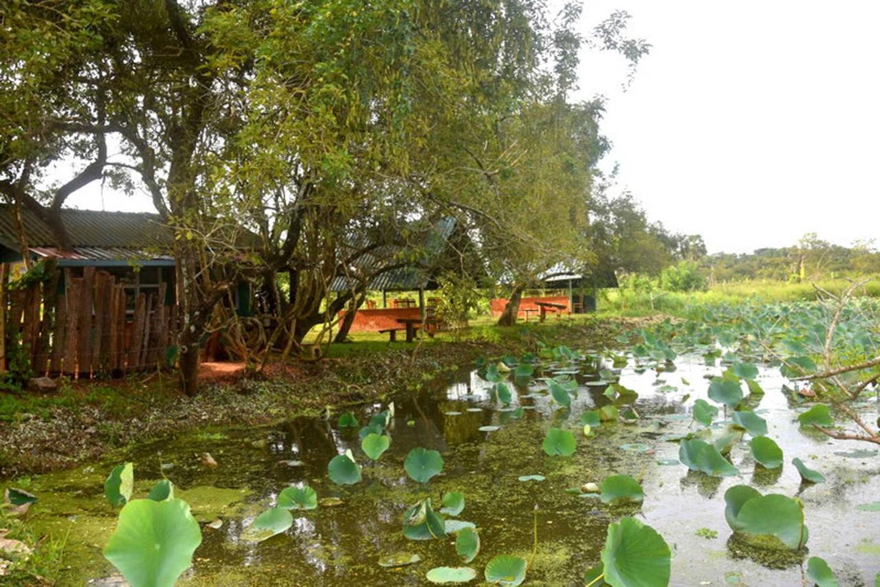Meegahapokuna Resort أنرادابورام المظهر الخارجي الصورة