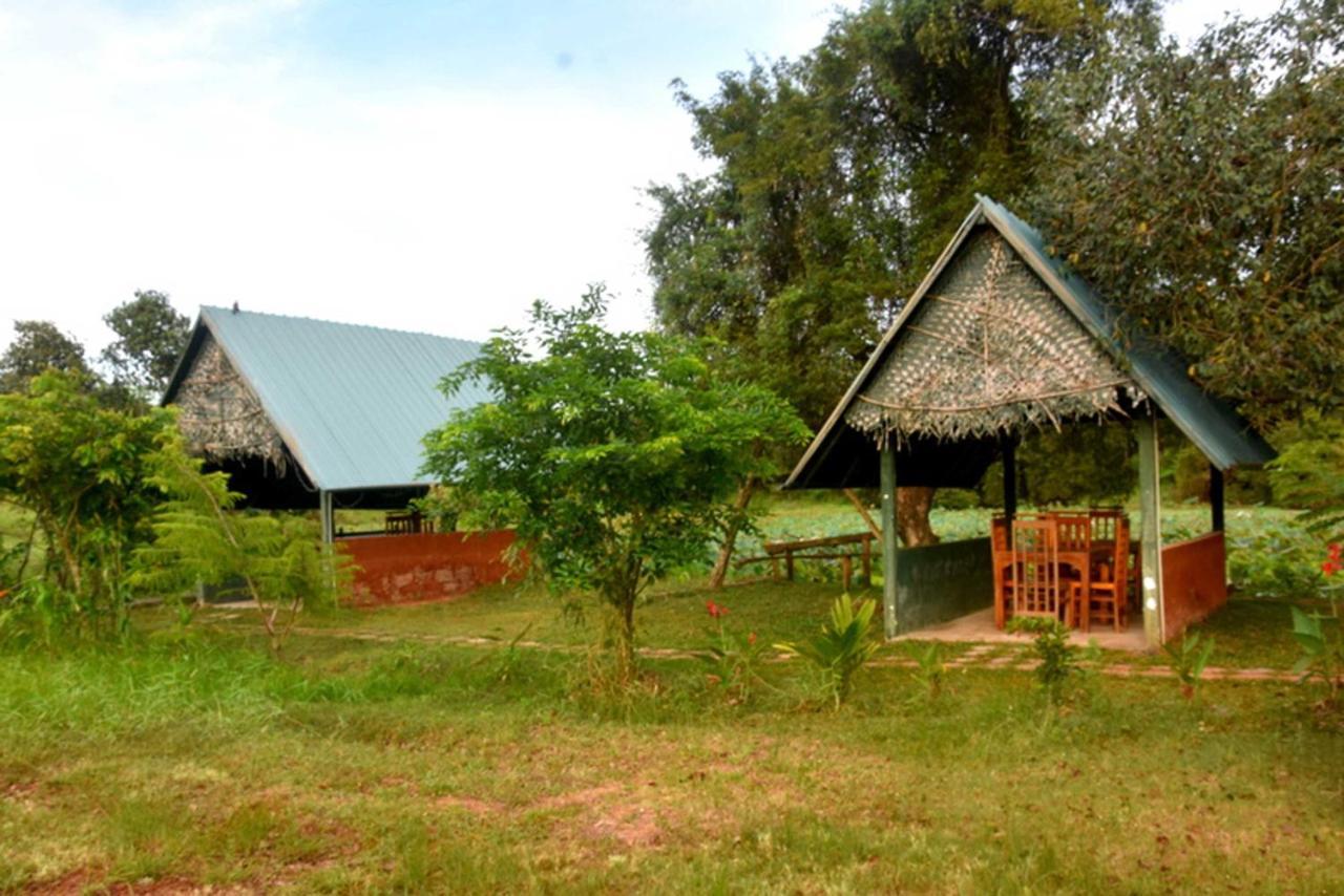 Meegahapokuna Resort أنرادابورام المظهر الخارجي الصورة