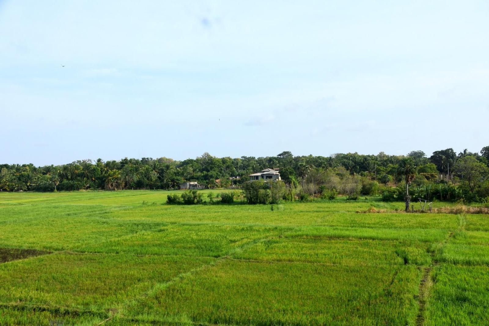 Meegahapokuna Resort أنرادابورام المظهر الخارجي الصورة