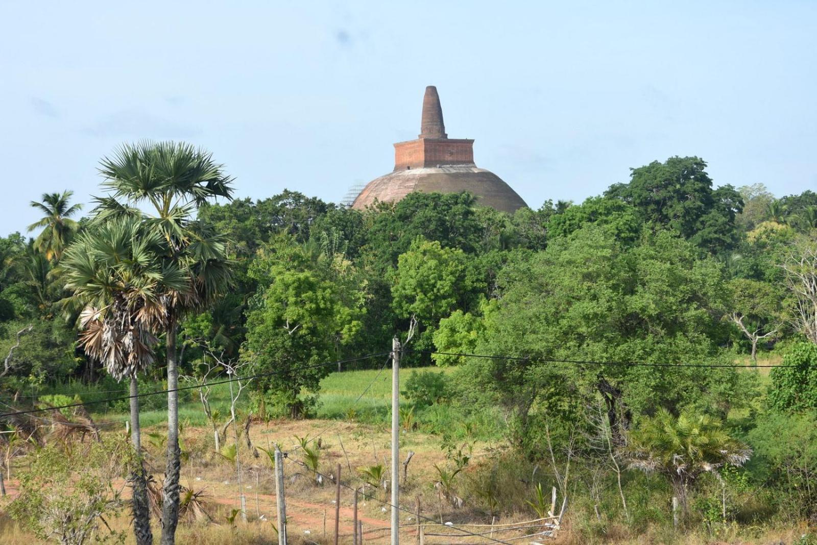 Meegahapokuna Resort أنرادابورام المظهر الخارجي الصورة