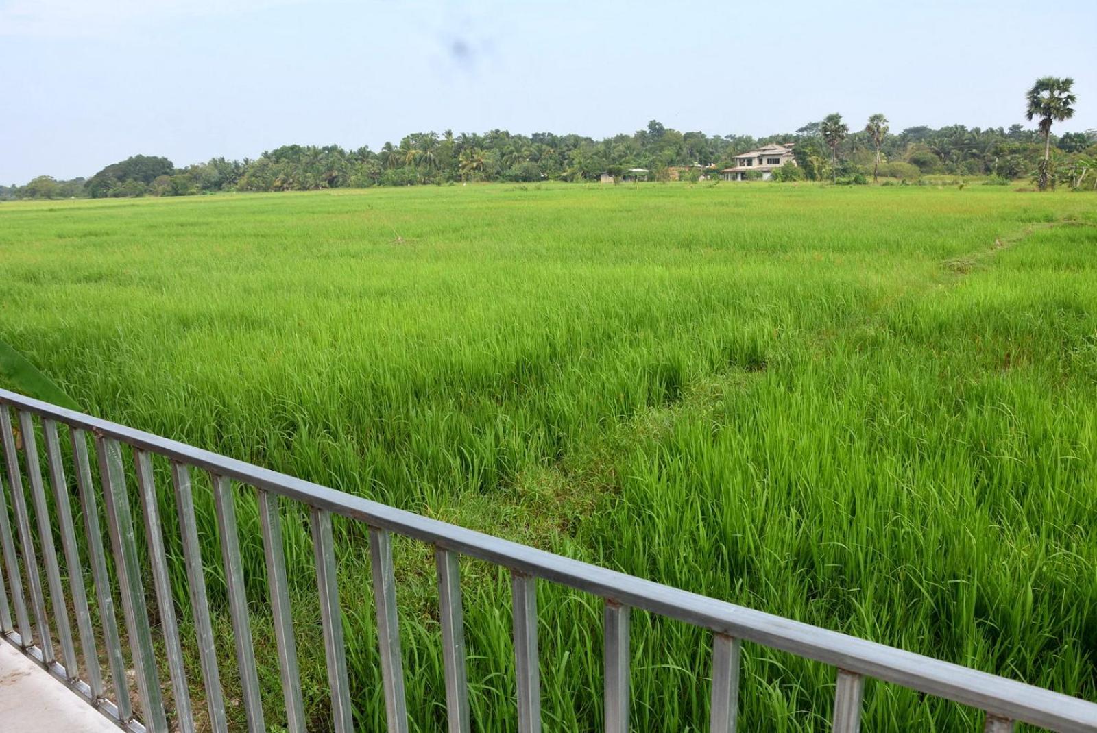 Meegahapokuna Resort أنرادابورام المظهر الخارجي الصورة